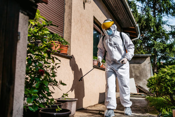 Best Exterminator Services  in Elburn, IL
