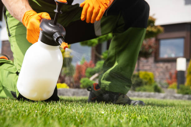 Best Pest Removal Services  in Elburn, IL