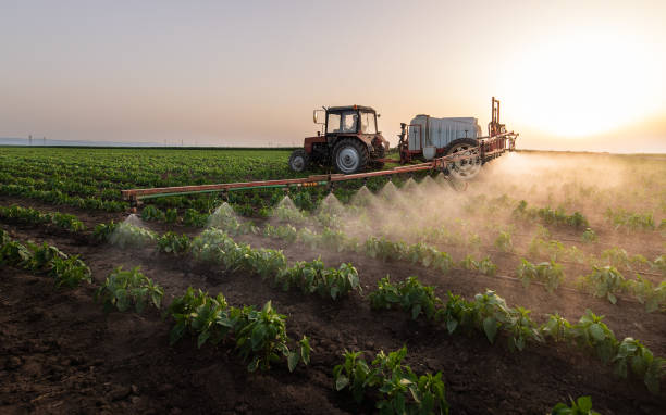 Pest Control Cost in Elburn, IL