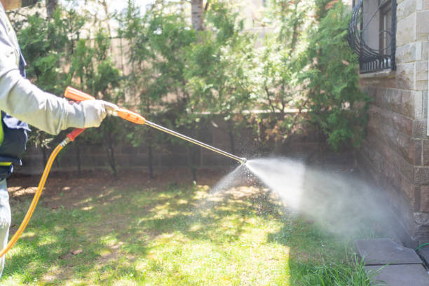 Best Bed Bug Extermination  in Elburn, IL