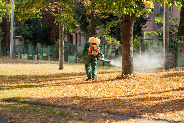 Best Best Pest Control Companies  in Elburn, IL