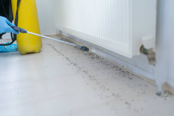 Best Bed Bug Extermination  in Elburn, IL
