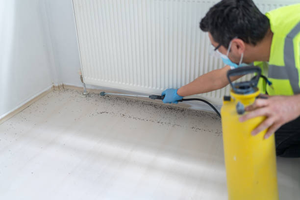 Best Pest Prevention Services  in Elburn, IL