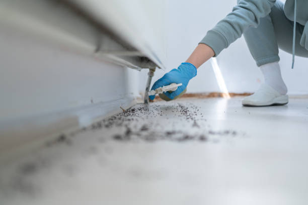 Best Cockroach Control Services  in Elburn, IL