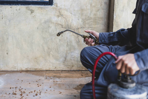 Best Pest Prevention Services  in Elburn, IL