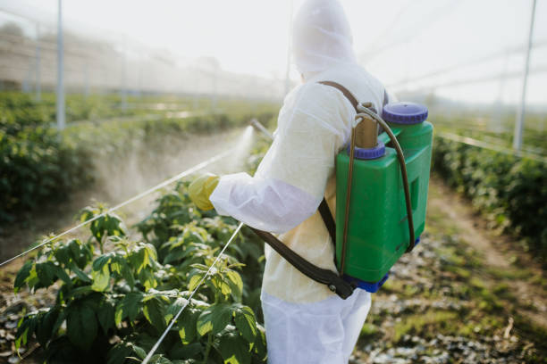 Best Residential Pest Control  in Elburn, IL